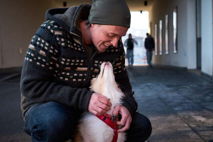 Hundeauslaufgebiet-Hundsdog Hundetraining-Bild