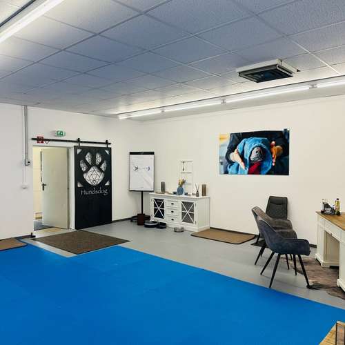 Hundeauslaufgebiet-Hundsdog Hundetraining-Bild