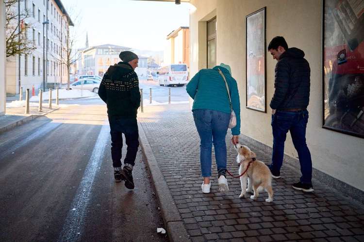 Hundeauslaufgebiet-Hundsdog Hundetraining-Bild