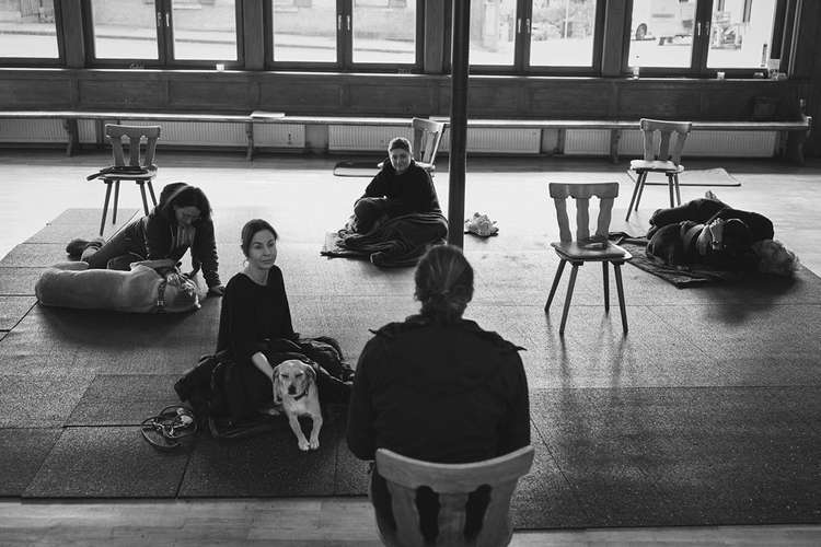 Hundeauslaufgebiet-Hundsdog Hundetraining-Bild