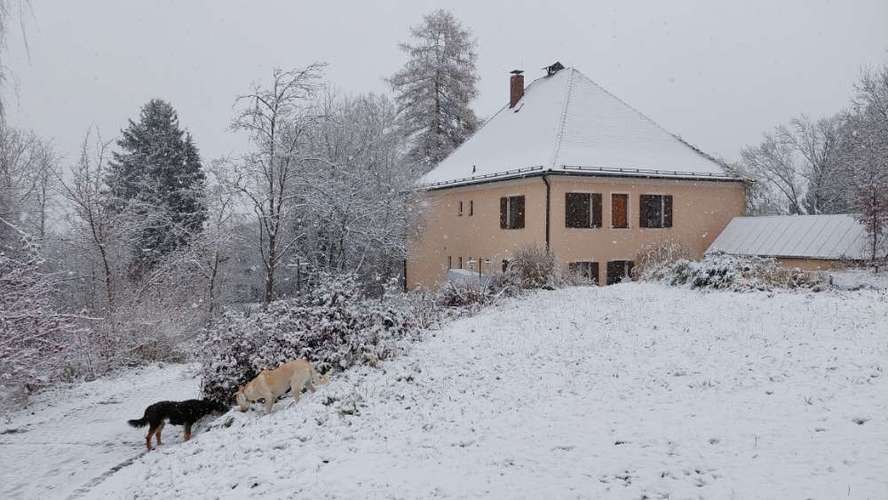 Hundeauslaufgebiet-Dr. Nistler  - Tierarztpraxis im alten Forstamt-Bild