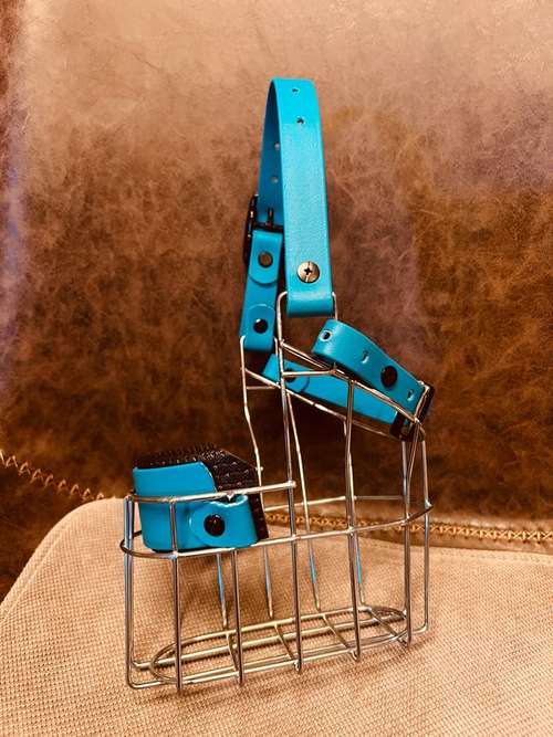 Hundeauslaufgebiet-Verhaltenswerkstatt Hund Hundetraining und Verhaltenstherapie / Aggressionsberatung Stelle-Bild