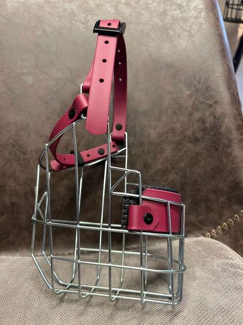 Hundeauslaufgebiet-Verhaltenswerkstatt Hund Hundetraining und Verhaltenstherapie / Aggressionsberatung Stelle-Bild