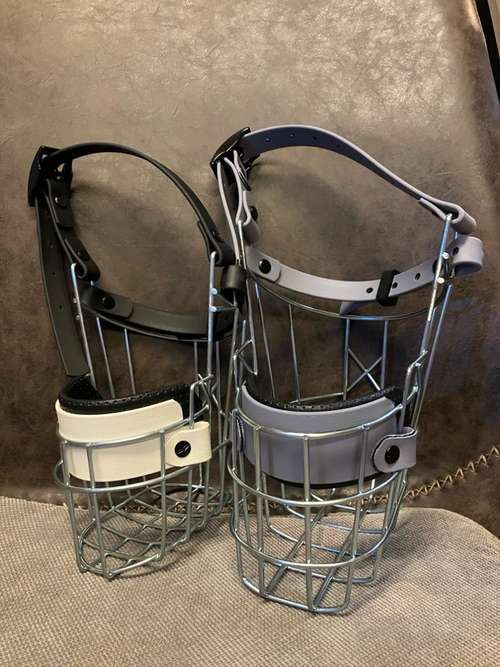 Hundeauslaufgebiet-Verhaltenswerkstatt Hund Hundetraining und Verhaltenstherapie / Aggressionsberatung Stelle-Bild