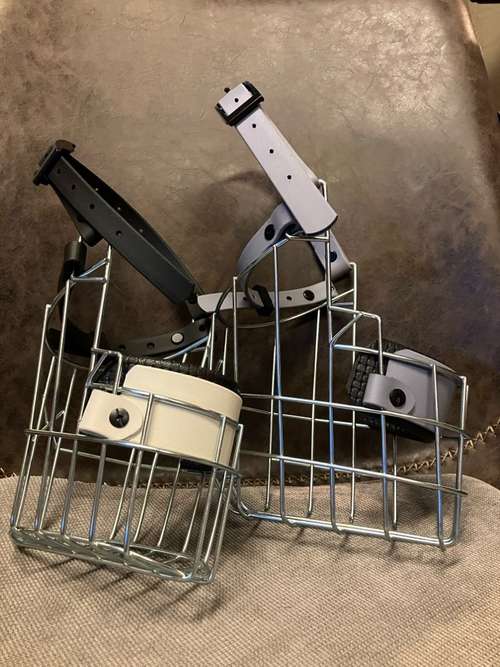 Hundeauslaufgebiet-Verhaltenswerkstatt Hund Hundetraining und Verhaltenstherapie / Aggressionsberatung Stelle-Bild