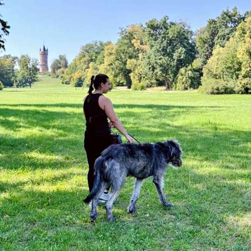 Hundeauslaufgebiet-Dognanny Potsdam-Bild
