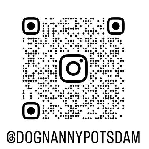 Hundeauslaufgebiet-Dognanny Potsdam-Bild