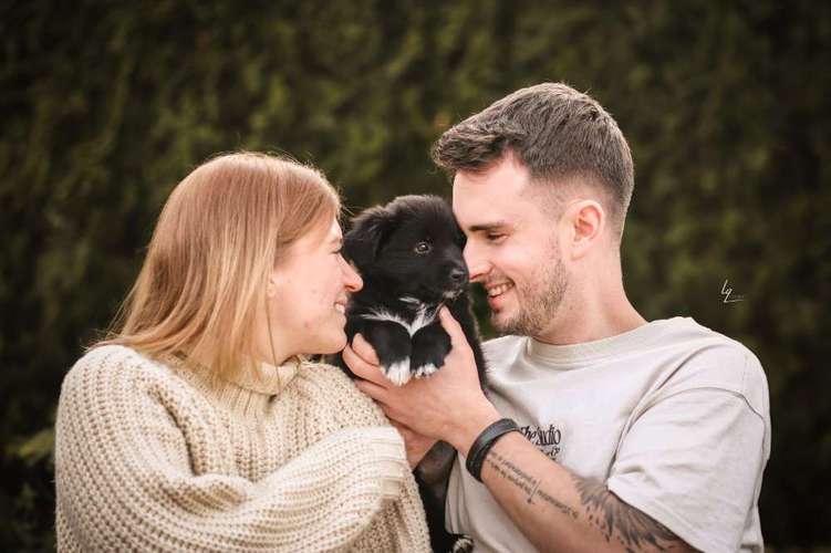 Hundeauslaufgebiet-Lq Fotografie-Bild