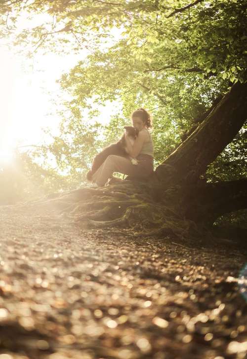 Hundeauslaufgebiet-Lq Fotografie-Bild