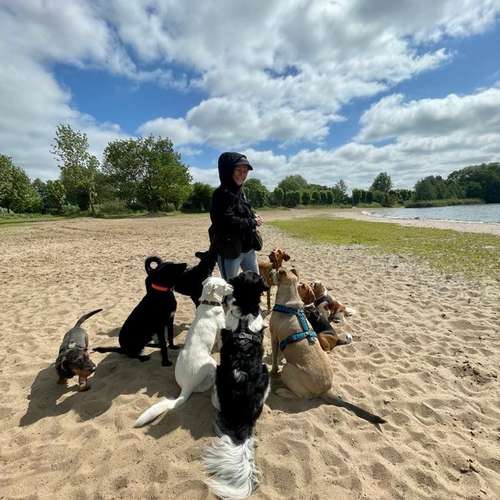 Hundeauslaufgebiet-Erster Wurf Hundeschule-Bild