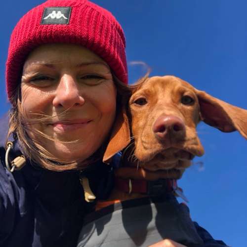 Hundeauslaufgebiet-Hundeschule Moorfleet-Bild