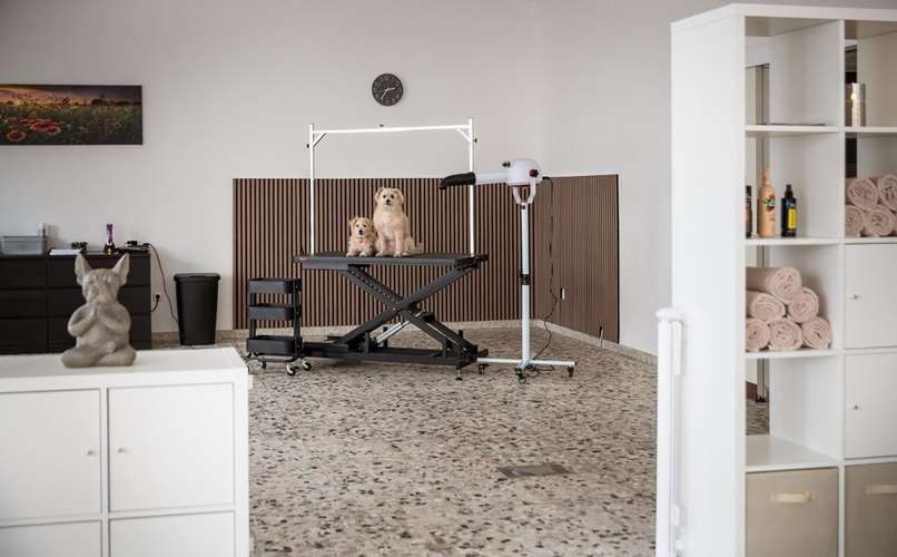 Hundeauslaufgebiet-FellLiebe by Lisa-Bild