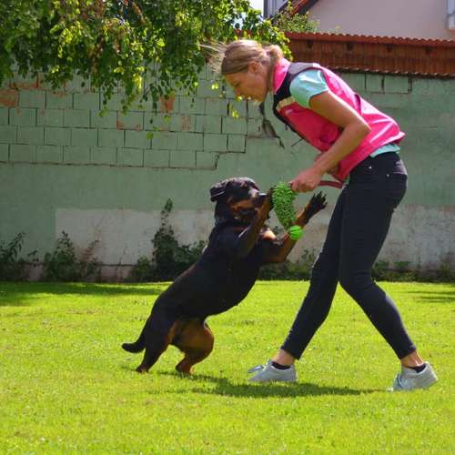 Hundeauslaufgebiet-TeamSpirit - Hundetraining Miriam Lorenz-Bild