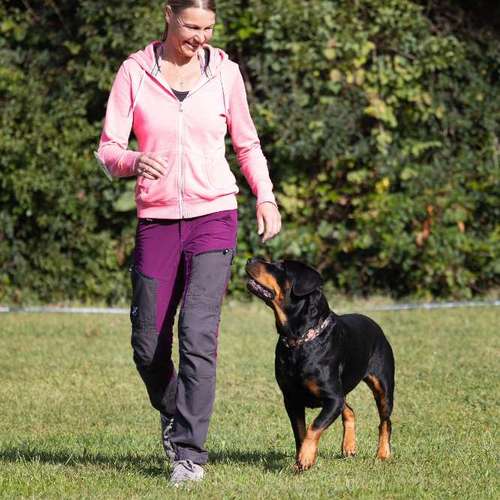 Hundeauslaufgebiet-TeamSpirit - Hundetraining Miriam Lorenz-Bild