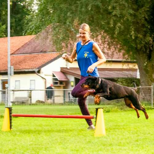 Hundeauslaufgebiet-TeamSpirit - Hundetraining Miriam Lorenz-Bild