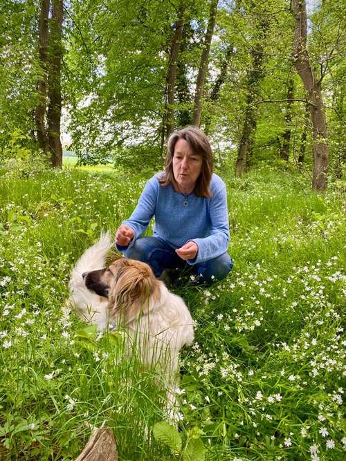 Hundeauslaufgebiet-Petra Kaufhold-Bild