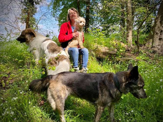 Hundeauslaufgebiet-Petra Kaufhold-Bild