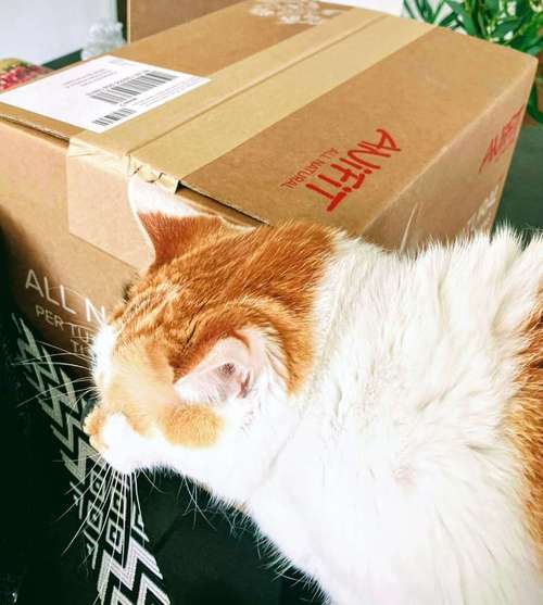 Hundeauslaufgebiet-pfotenliebling.ch-Bild