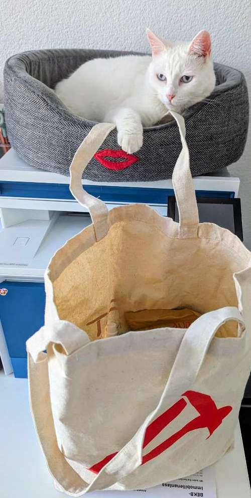 Hundeauslaufgebiet-pfotenliebling.ch-Bild