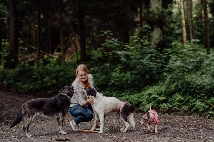 Hundeauslaufgebiet-HundeTeamWitten-Bild