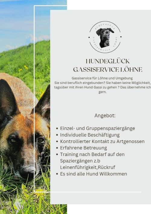 Hundeauslaufgebiet-Hundeglück Gassiservice Löhne-Bild