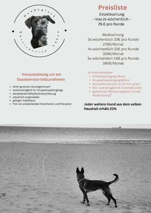 Hundeauslaufgebiet-Hundeglück Gassiservice Löhne-Bild