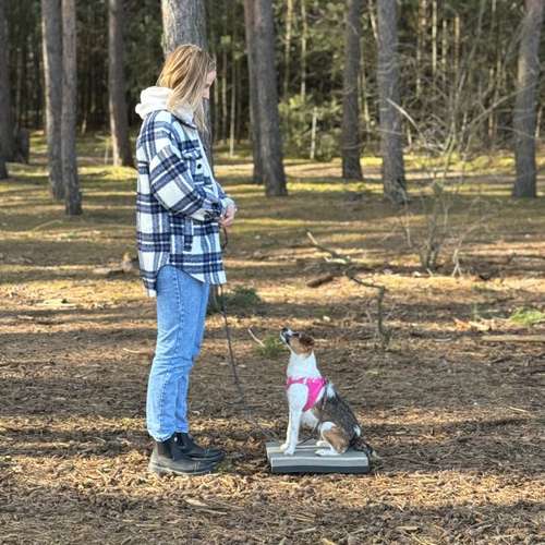 Hundeauslaufgebiet-Hundetrainerin Franziska Mollenhauer-Bild