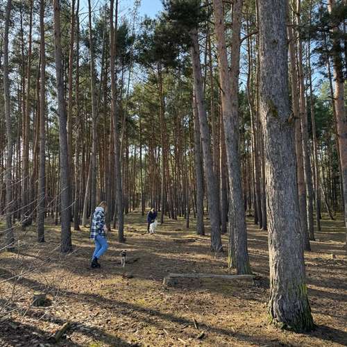 Hundeauslaufgebiet-Hundetrainerin Franziska Mollenhauer-Bild