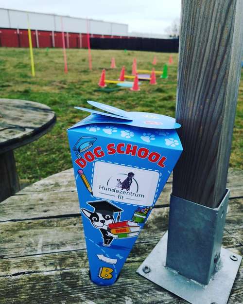 Hundeauslaufgebiet-Hundezentrum Krüger-Bild