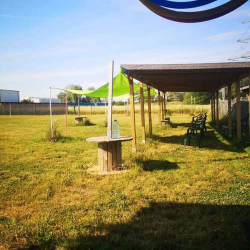 Hundeauslaufgebiet-Hundezentrum Krüger-Bild