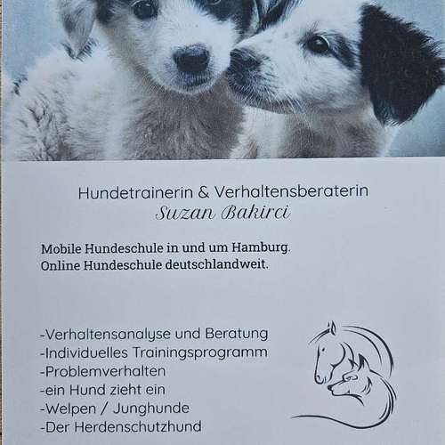 Hundeauslaufgebiet-Hundeverstehen-online Coaching-Bild