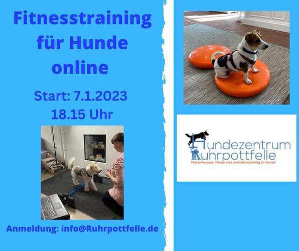 Hundeauslaufgebiet-Hundezentrum Ruhrpottfelle-Bild