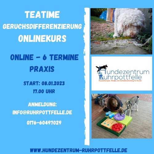 Hundeauslaufgebiet-Hundezentrum Ruhrpottfelle-Bild