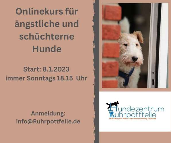 Hundeauslaufgebiet-Hundezentrum Ruhrpottfelle-Bild