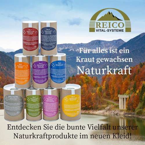 Hundeauslaufgebiet-Reico Partner & Vital Systemexperte-Bild