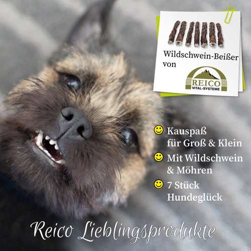 Hundeauslaufgebiet-Reico Partner & Vital Systemexperte-Bild