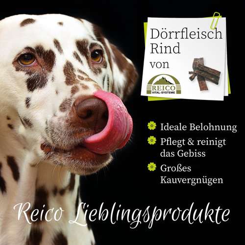 Hundeauslaufgebiet-Reico Partner & Vital Systemexperte-Bild