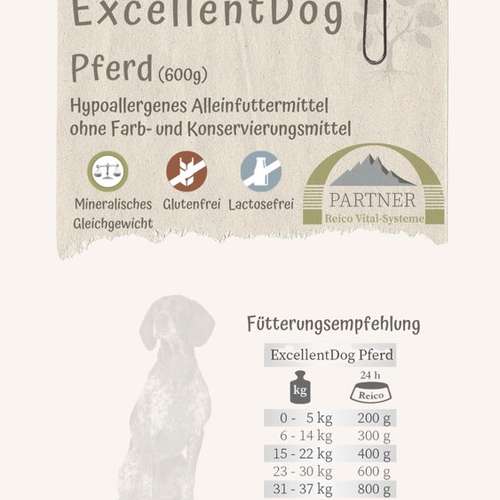 Hundeauslaufgebiet-Reico Partner & Vital Systemexperte-Bild