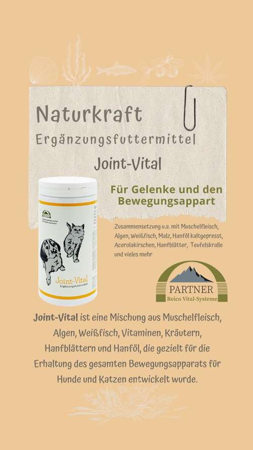 Hundeauslaufgebiet-Reico Partner & Vital Systemexperte-Bild