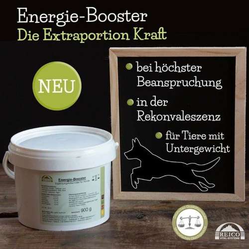 Hundeauslaufgebiet-Reico Partner & Vital Systemexperte-Bild