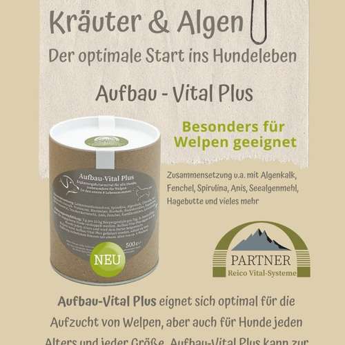 Hundeauslaufgebiet-Reico Partner & Vital Systemexperte-Bild