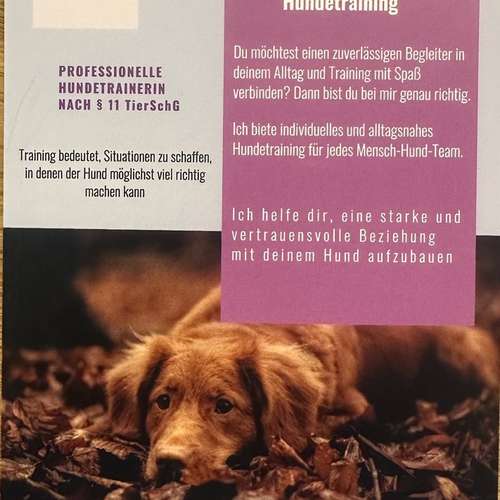 Hundeauslaufgebiet-Dog Active-Bild