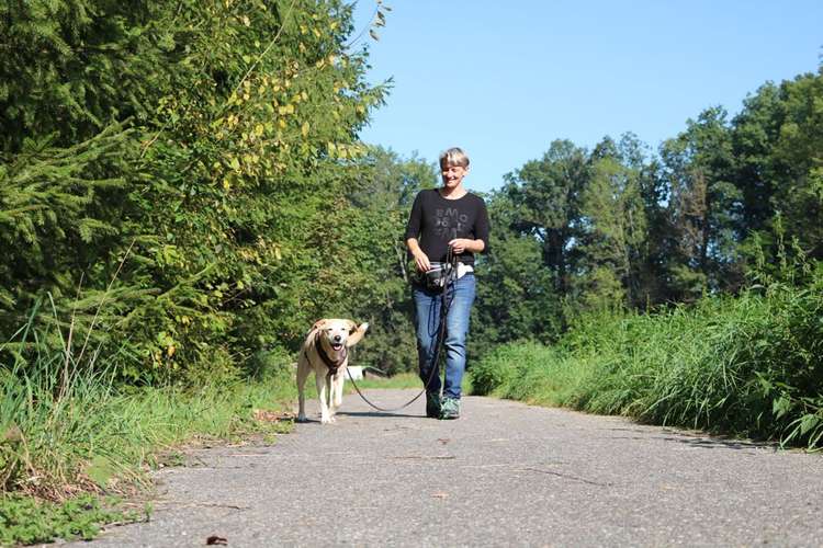 Hundeauslaufgebiet-Petricks Hundeschule-Bild