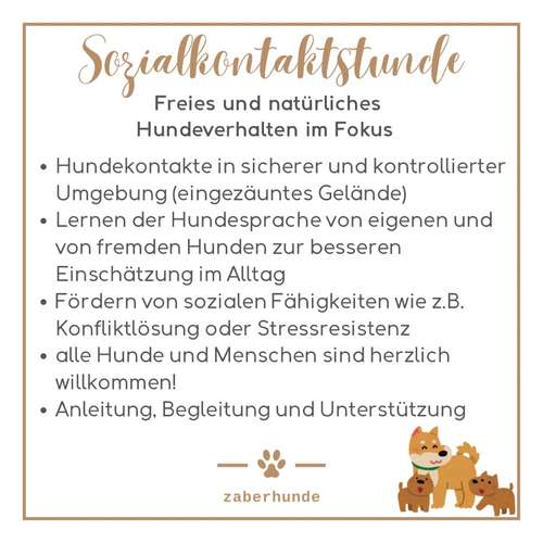 Hundeauslaufgebiet-zaberhunde-Bild