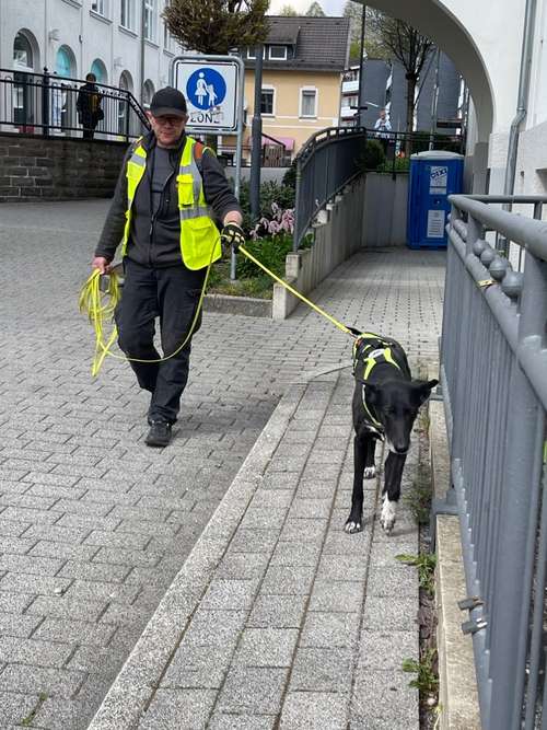 Hundeauslaufgebiet-FINDERWILLE-Bild