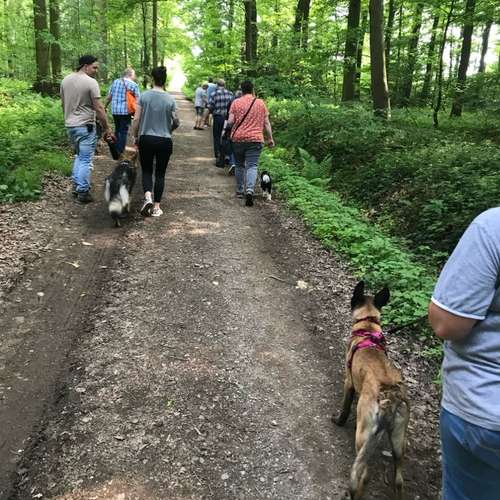 Hundeauslaufgebiet-Hundetraining Anja Baum-Bild