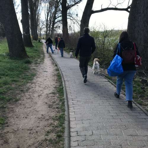Hundeauslaufgebiet-Hundetraining Anja Baum-Bild