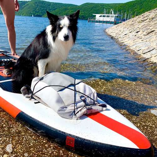 Hundeauslaufgebiet-Hundetraining Anja Baum-Bild