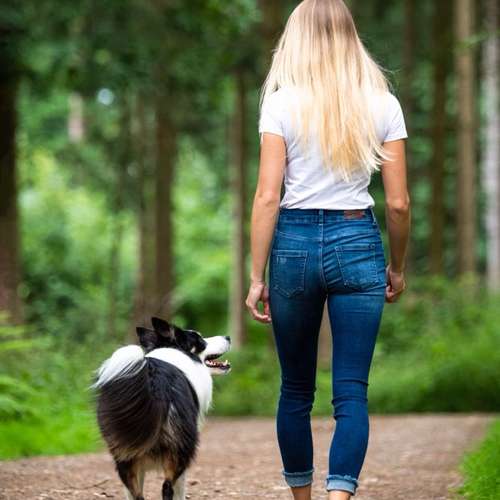 Hundeauslaufgebiet-Hundetraining Anja Baum-Bild