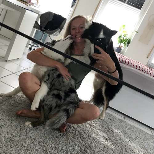 Hundeauslaufgebiet-Hundetraining Anja Baum-Bild